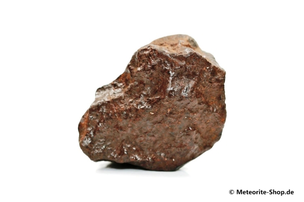NWA Westsahara Meteorit - 37,80 g