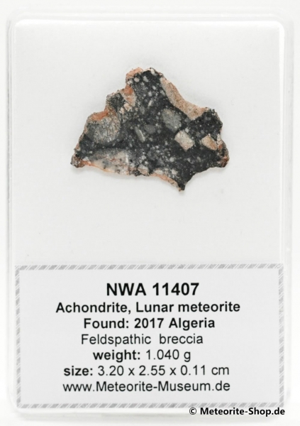 NWA 11407 Mond Meteorit - 1,040 g