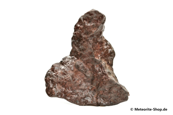 NWA Westsahara Meteorit - 25,50 g