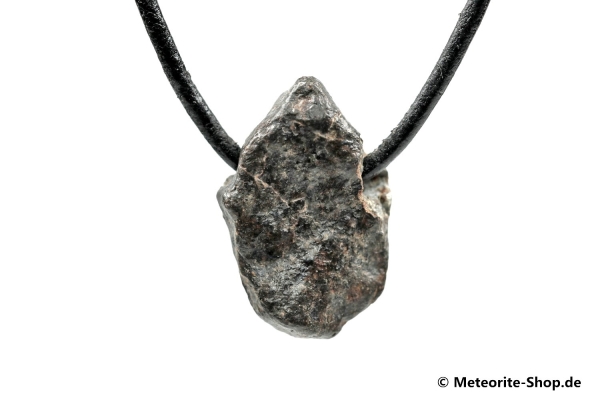 Stein-Meteorit-Anhänger (NWA 869 | Natura) - 7,40 g