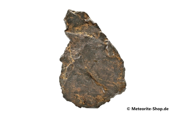 Sikhote-Alin Meteorit - 91,10 g
