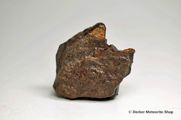 Dhofar 020 Meteorit - 105,20 g