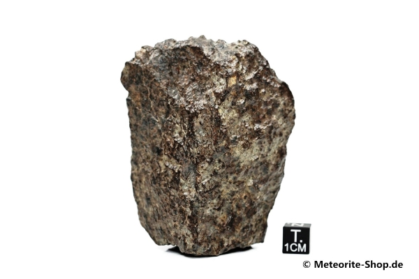 NWA Sahara Meteorit - 241,40 g