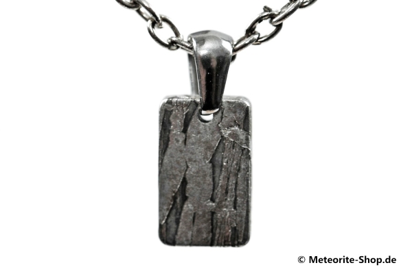 Stein-Eisen-Meteorit-Anhänger (Seymchan | Varia) - 2,25 g