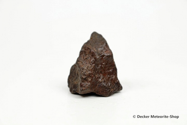 NWA Westsahara Meteorit - 14,80 g