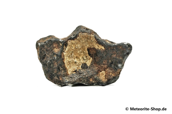 NWA 859 Meteorit - 7,60 g