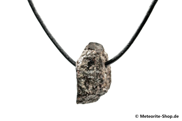 Stein-Meteorit-Anhänger (NWA 869 | Natura) - 10,00 g