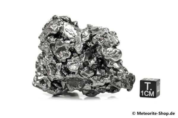 Campo del Cielo Meteorit - 238,10 g