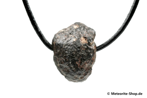 Stein-Meteorit-Anhänger (NWA 869 | Natura) - 10,10 g