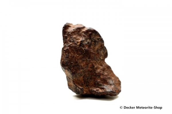 Agoudal Meteorit - 19,00 g