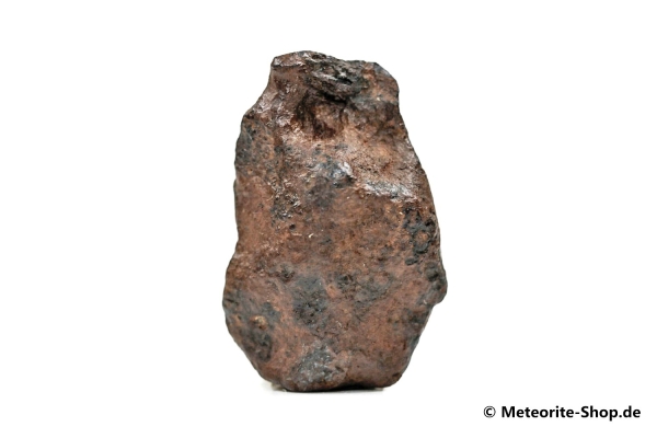 NWA 859 Meteorit - 8,80 g