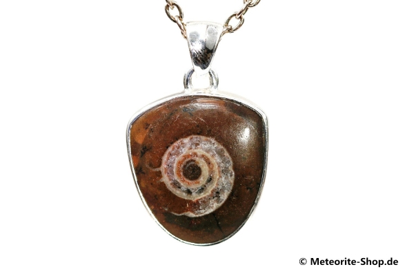 Ammonit-Anhänger (Fossil | Scheibe | 925er Silber) - 5,20 g