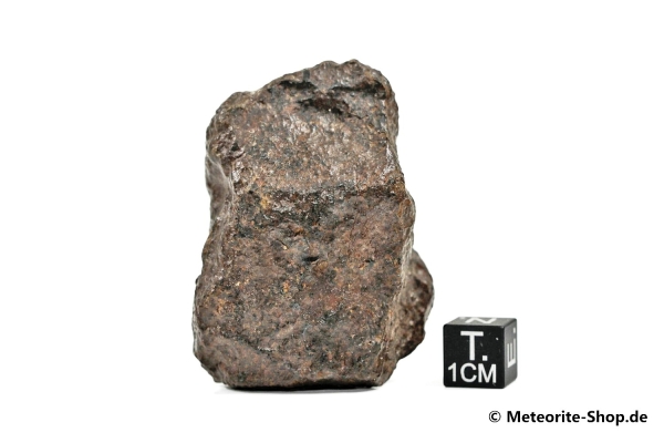NWA Westsahara Meteorit - 84,80 g