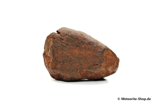 NWA Westsahara Meteorit - 30,90 g