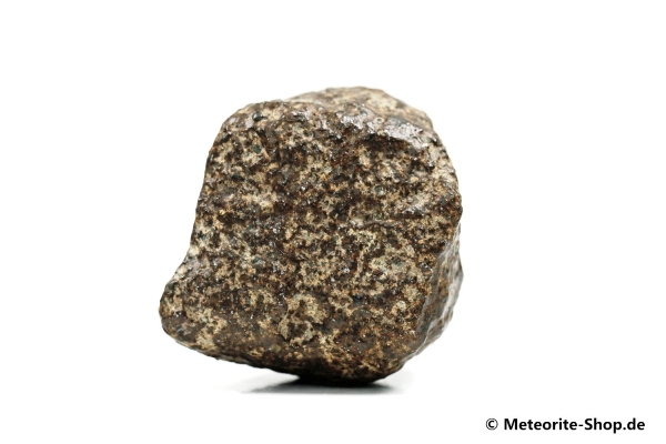 NWA Rissani Meteorit - 72,20 g