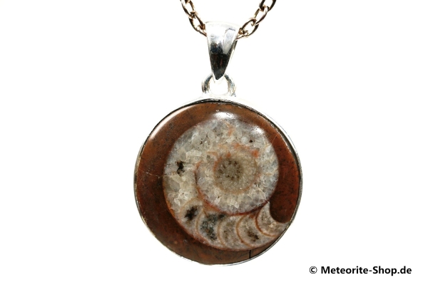 Ammonit-Anhänger (Fossil | Scheibe | 925er Silber) - 7,00 g