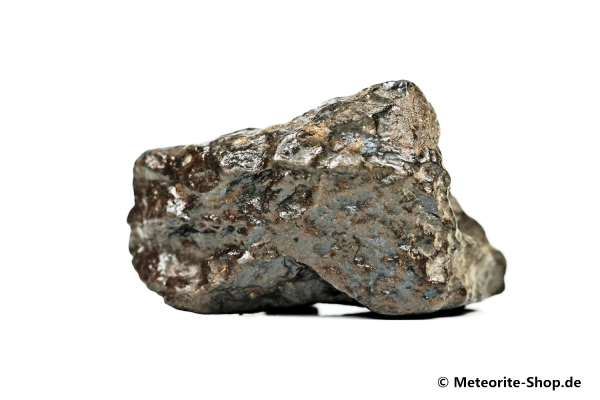 NWA Westsahara Meteorit - 98,60 g
