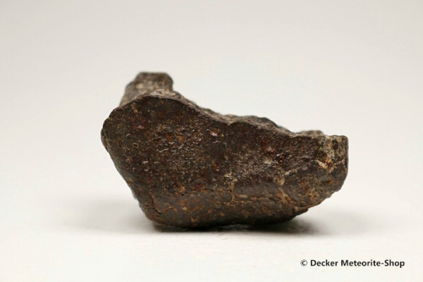 NWA 869 Meteorit - 54,00 g