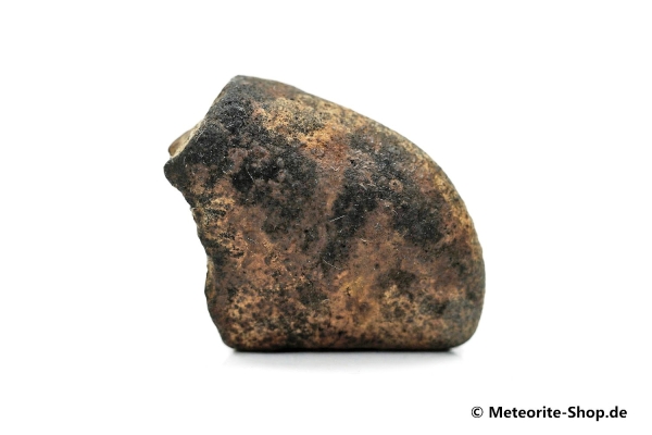 Gao-Guenie Meteorit - 26,00 g