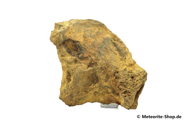 Dronino Meteorit - 21,90 g