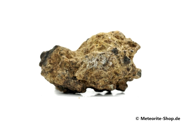 NWA 12953 Meteorit - 22,50 g