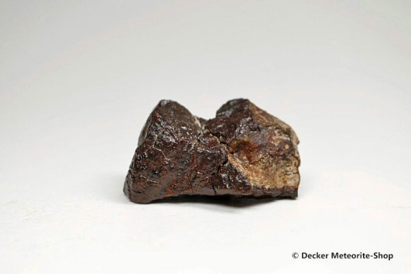 Dhofar 020 Meteorit - 40,60 g