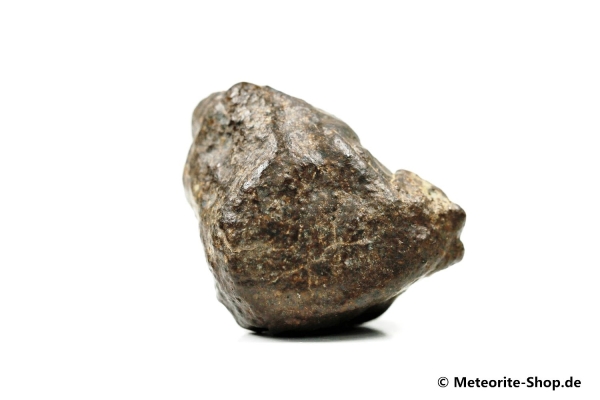 NWA Rissani Meteorit - 55,60 g