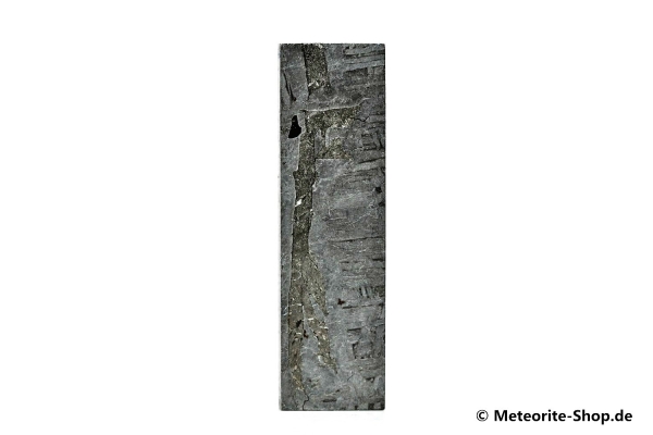 Aletai Meteorit - 36,30 g