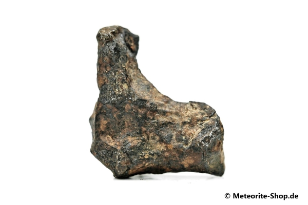 NWA 859 Meteorit - 8,80 g
