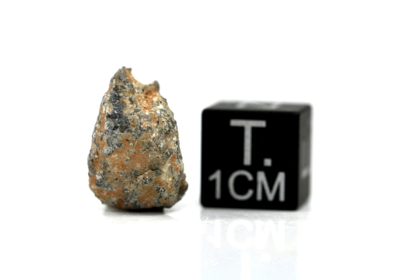 NWA 11407 Mond Meteorit - 1,316 g