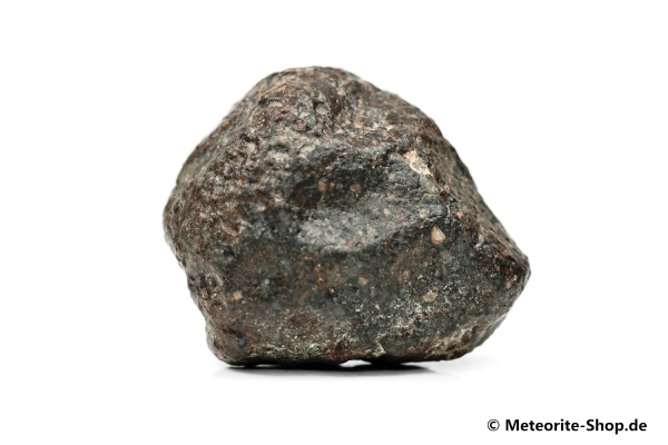 NWA 869 Meteorit - 60,70 g
