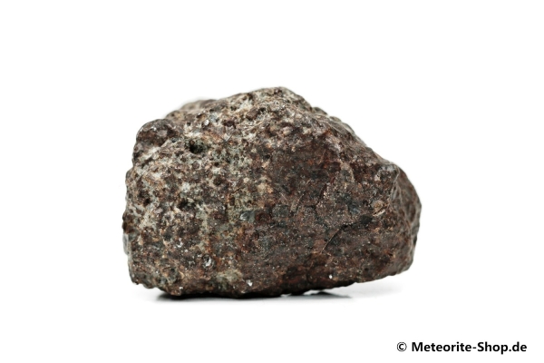 NWA 869 Meteorit - 70,40 g