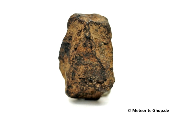 NWA 859 Meteorit - 13,40 g