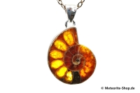 Ammonit-Anhänger (Fossil | Scheibe | 925er Silber) - 5,90 g Ammonit-Anhänger (Fossil | Scheibe | 925er Silber) - 5,90 g