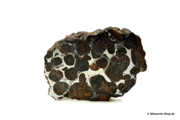 Sericho Meteorit - 33,20 g