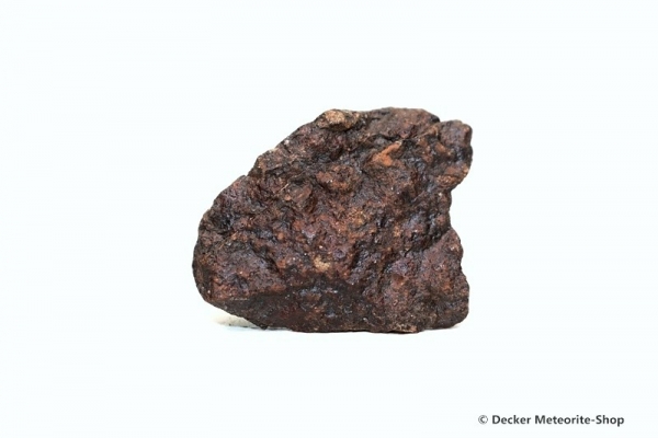 Gold Basin Meteorit - 8,50 g