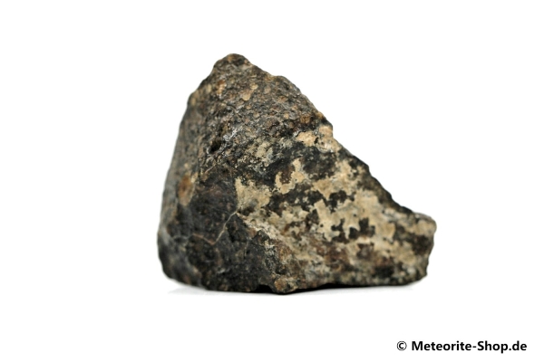 NWA Tagounite Meteorit - 10,90 g