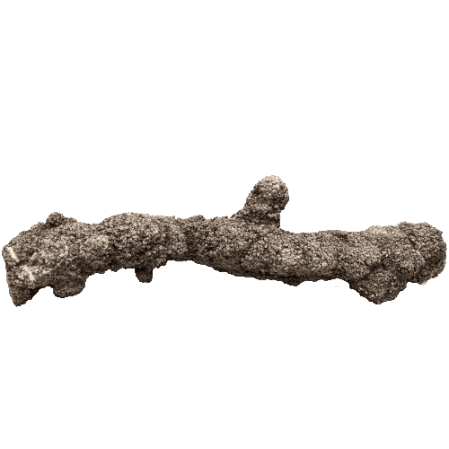 Fulgurite Blackroot