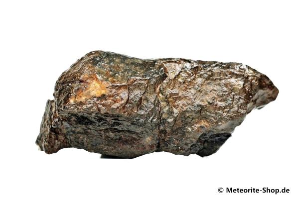 NWA Westsahara Meteorit - 81,00 g