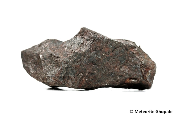 Canyon Diablo Meteorit - 35,90 g
