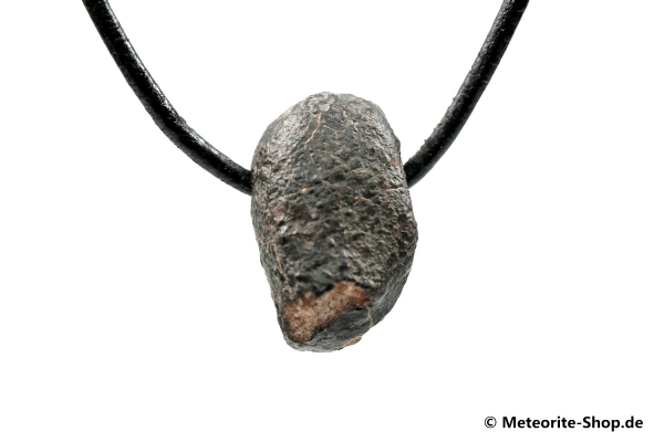 Stein-Meteorit-Anhänger (NWA 869 | Natura) - 5,50 g