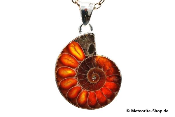 Ammonit-Anhänger (Fossil | Scheibe | 925er Silber) - 5,90 g