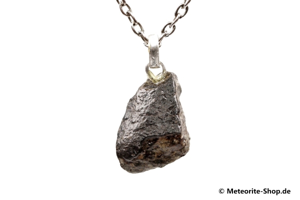Stein-Meteorit-Anhänger (NWA 869 | Natura | 925er Silber) - 4,00 g