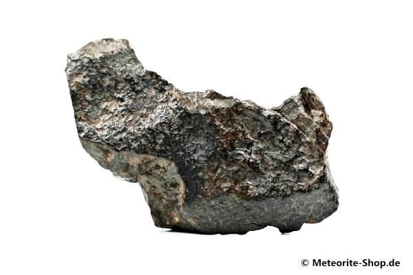 NWA Westsahara Meteorit - 40,80 g