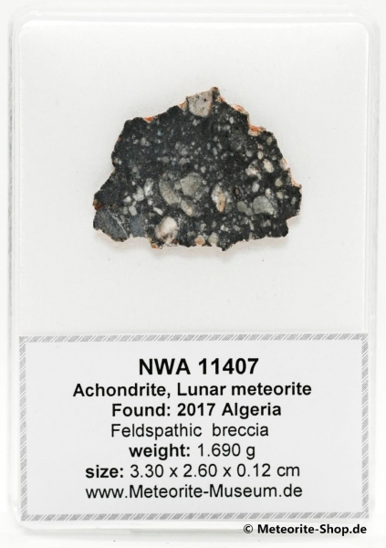 NWA 11407 Mond Meteorit - 1,690 g