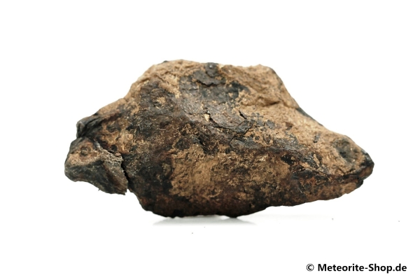 Canyon Diablo Meteorit - 50,00 g