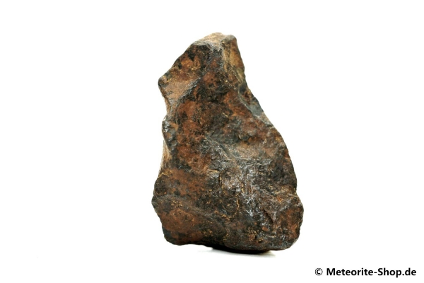 NWA 859 Meteorit - 11,60 g
