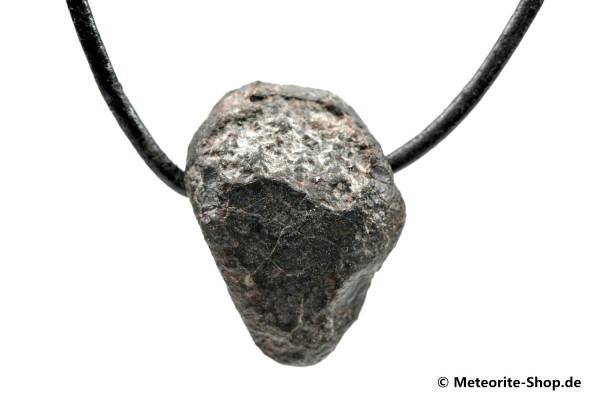 Stein-Meteorit-Anhänger (NWA 869 | Natura) - 12,00 g