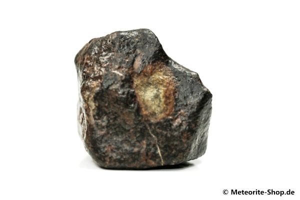 Alnif Meteorit - 21,70 g