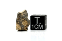 NWA 11407 Mond Meteorit - 1,192 g NWA 11407 Mond Meteorit - 1,192 g